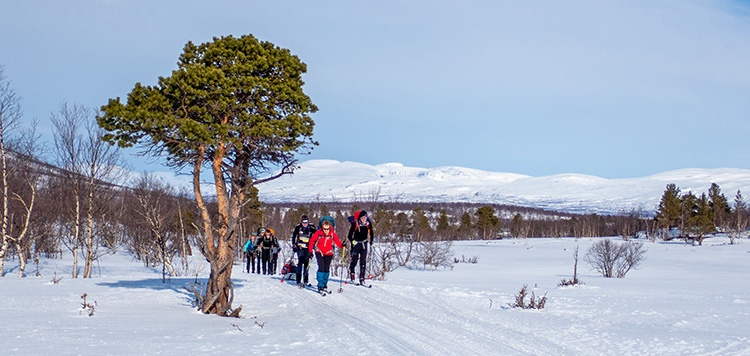 BC trekking Narvikfjell Abisko Vasa Sport