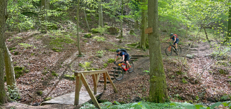 Vasa Sport MTB'en Pfälzerwald trails