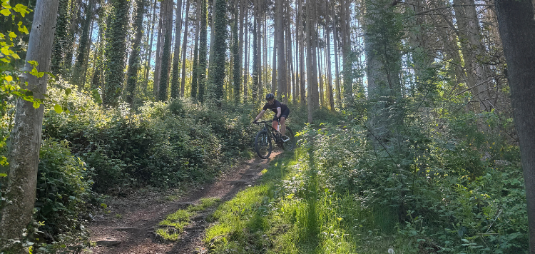 Vasa Sport MTB weekend Luxemburg trails