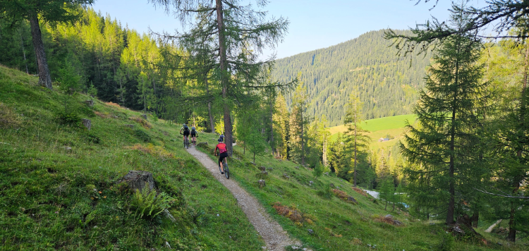 Dachstein Hutte runde Vasa Sport