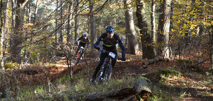 Vasa Bikedag
