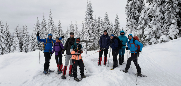 Langlaufsafari Zweden