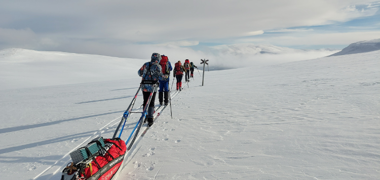 Groep toerlanglaufers in Kungsleden