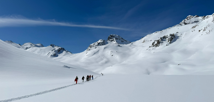 Een groep tourskiers die door het Silvretta gebergte lopen