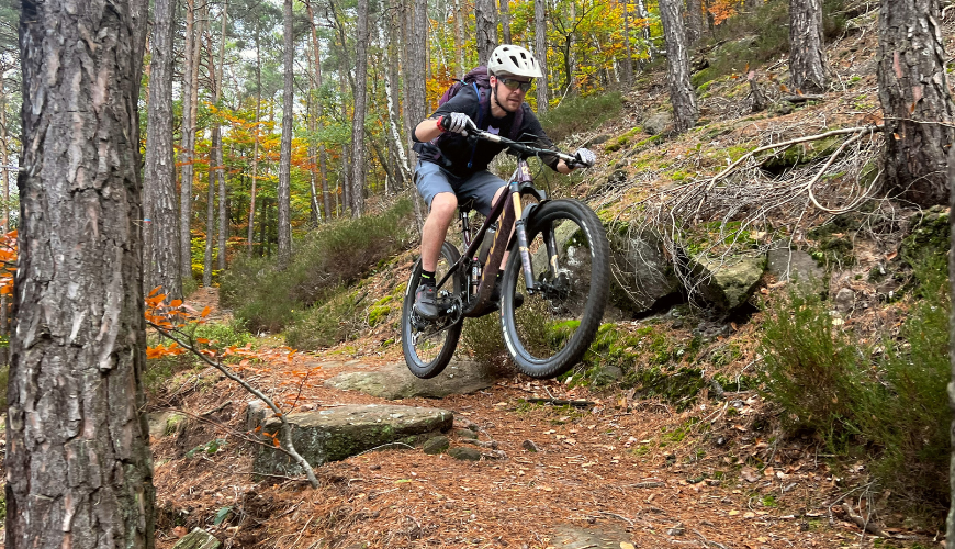 Een enkele mountainbiker op de Pfalzerwald Trails