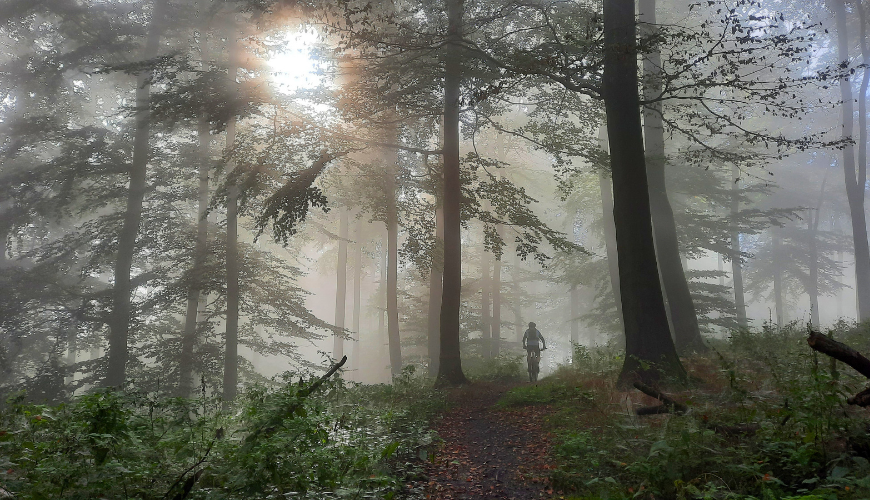 Tecklenburg trails