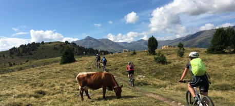 Vasa-Sport-reizen-mountainbike-reis-TransAlp-Lermoos-Meran