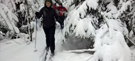 Toerlanglaufen in Schwarzwald