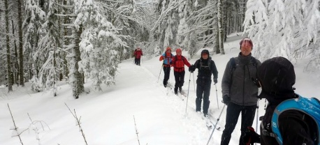 Vasa-Sport-backcountry-toerlanglaufen-reizen-Schwarzwald