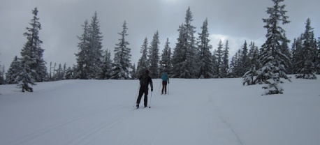 Ramsau langlaufen