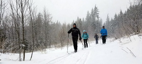 Langlauf-cursus-schwarzwald-reis