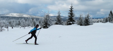 langlaufen tsjechie reis