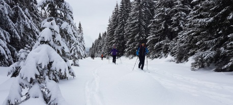 Backcountry-langlauf-toerlanglauf-reis-tocht-sumava-tsjechie