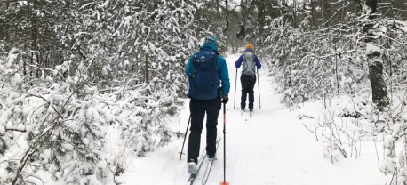Dikke sneeuw in Nederland om doorheen te langlaufen