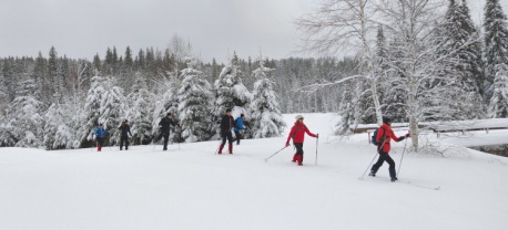 Backcoutntry Trekking Sumava