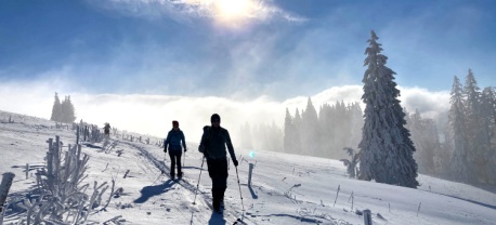 https://www.vasasport.nl/langlauf/backcountrycursus-schwarzwald