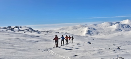 https://www.vasasport.nl/langlauf/backcountry-trekking-zweden