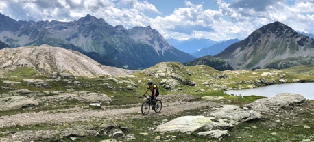 https://www.vasasport.nl/mountainbike/giro-altarezia