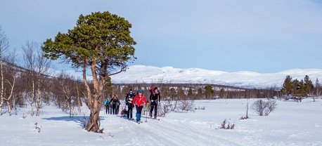 BC trekking Narvikfjell Abisko Vasa Sport