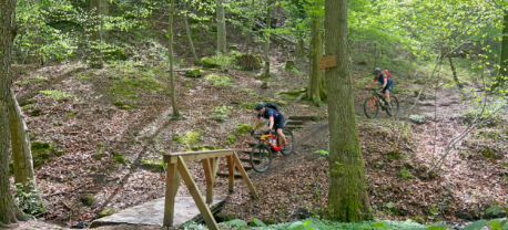 Vasa Sport MTB'en Pfälzerwald trails