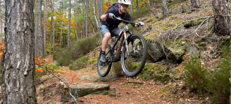 Een enkele mountainbiker op de Pfalzerwald Trails