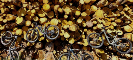 Vier fietsen die in tussen houten boomstammen hangen
