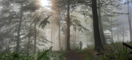 Tecklenburg trails