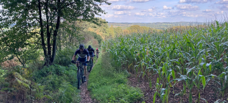 Een klim in het Teutoburger Wald voor drie MTB'ers