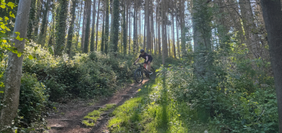 Vasa Sport MTB weekend Luxemburg trails