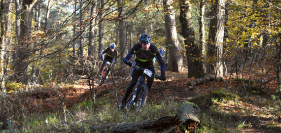 Vasa Bikedag