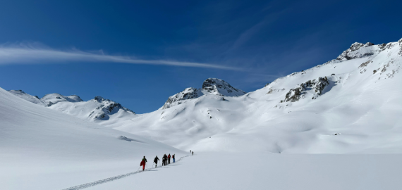 Een groep tourskiers die door het Silvretta gebergte lopen