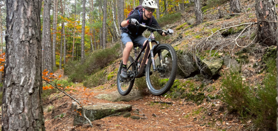 Een enkele mountainbiker op de Pfalzerwald Trails