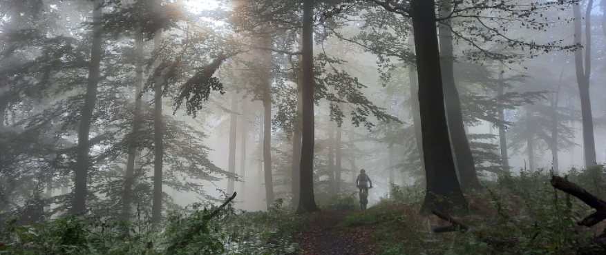 Verkenning Tecklenburg Trails