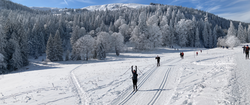 Een groep langlaufers op een loipe in het Schwarzwald
