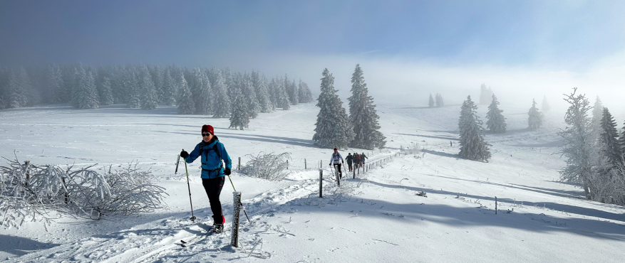 Groep langlaufers door een mistig Schwarzwald